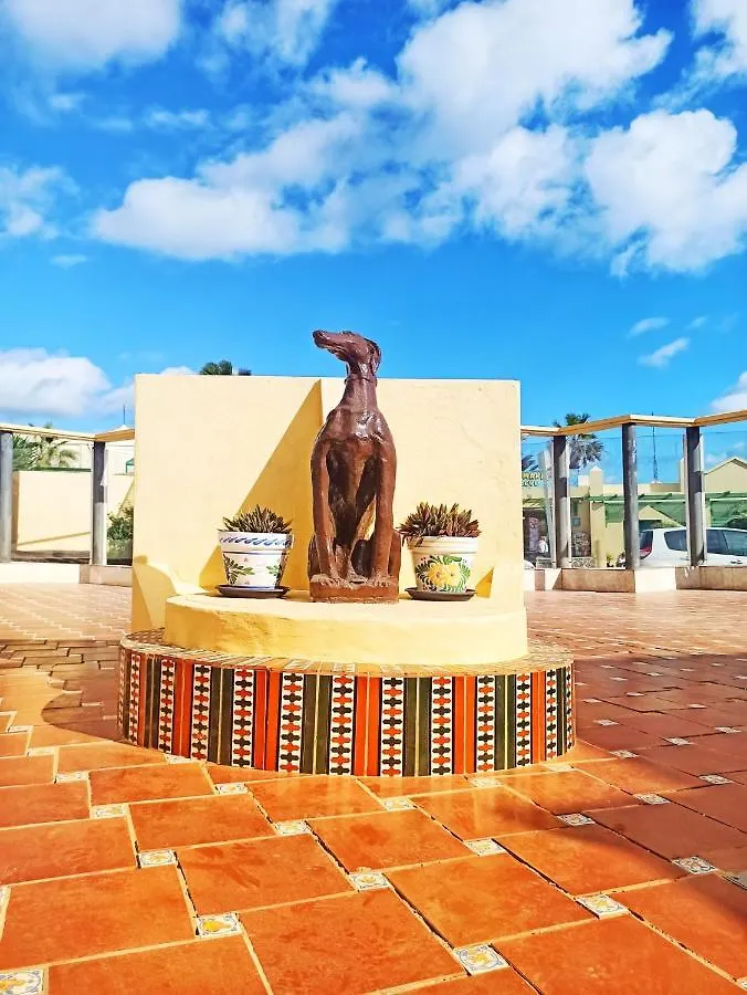 Caleta Paraiso 127 كوستا دي أنتيجوا شقة